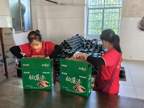 年順食品廠 守護(hù)贛南餐桌安全，共筑健康生活新未來(lái)